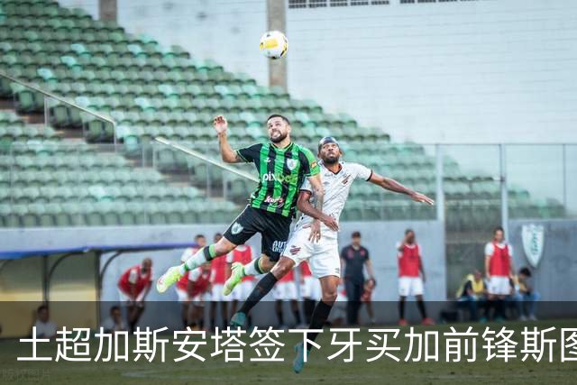 土超加斯安塔签下牙买加前锋斯图尔特