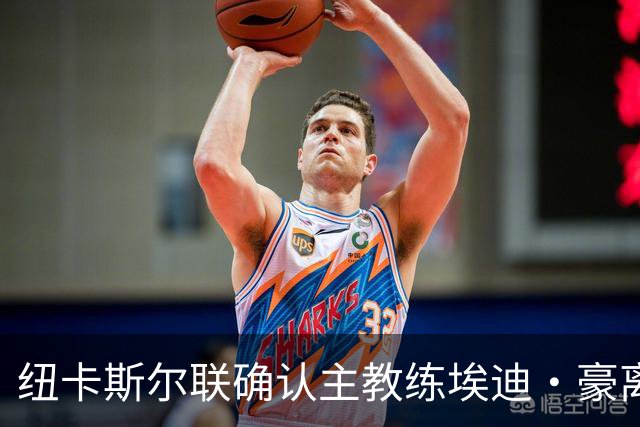 纽卡斯尔联确认主教练埃迪·豪离任